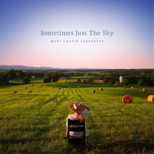 Mary Chapin Carpenter Sometimes Just the Sky (Vinyl) 12" Album - Picture 1 of 1