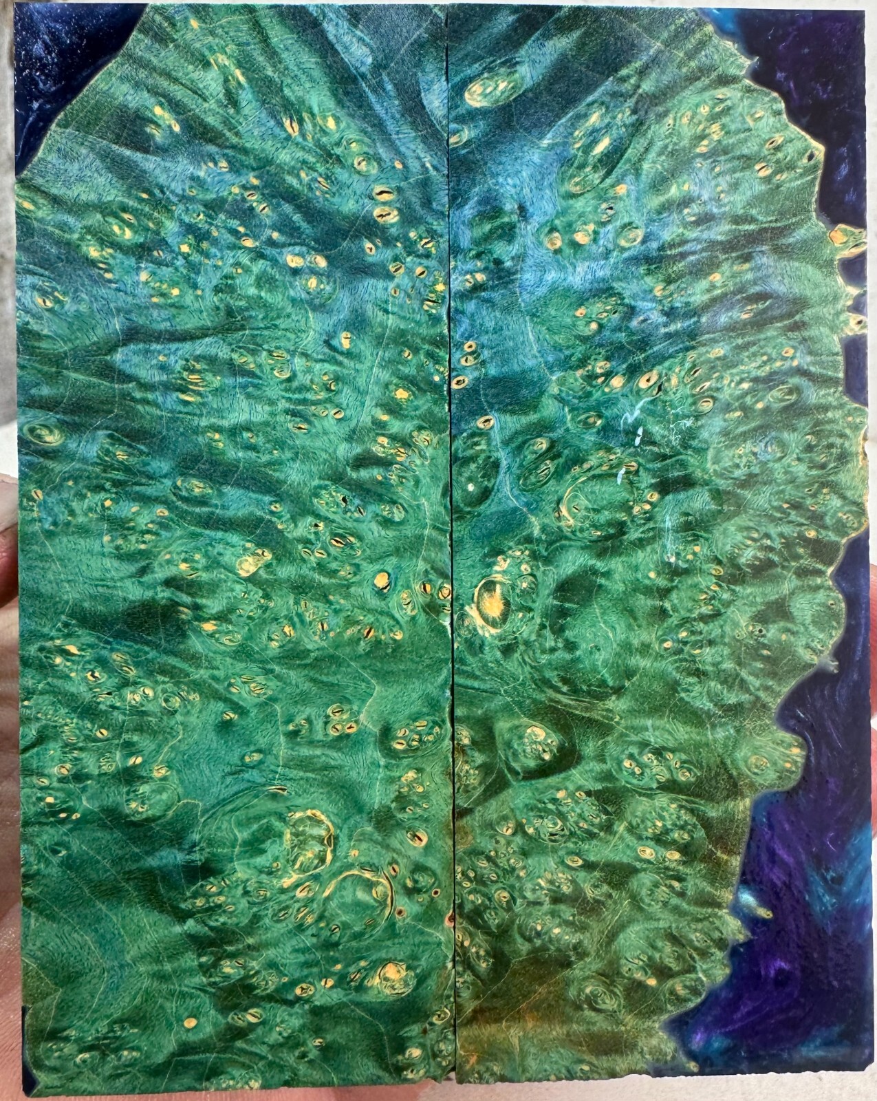 Picture 4