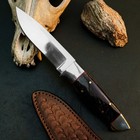 8.7" D2 Steel Hunting Knife Full Tang Resin Handle Fixed Blade Leather Sheath — photo 5