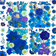 MIKIYA 94Pcs Blue Dried Pressed Flowers for Resin Molds, Assorted Real