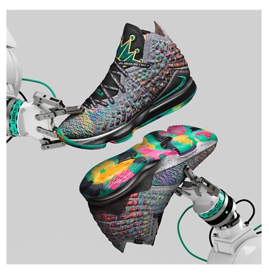 Nike Lebron 17 XVII 'I Promise' | eBay