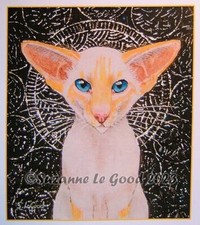 Siamese Cat art print from original painting Limited Edition by Suzanne Le Good