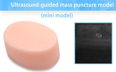 Ultrasound Guided Tumor Puncture Model, Medical Puncture Skill Training Reusable