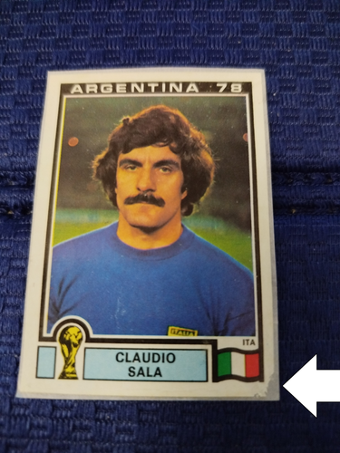 *** ARGENTINA 78 1-204 CALCIATORI PANINI SCEGLI sticker removed from the album - 第 113/207 張圖片