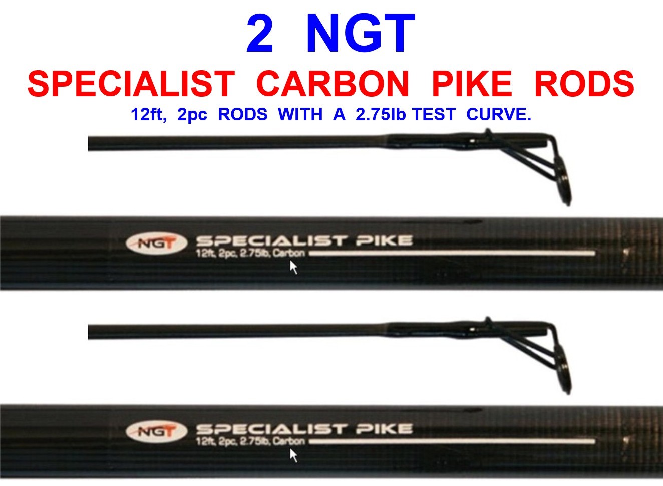 CLEARANCE PICK UP ONLY 2 NGT 12ft SPECIALIST 2pc CARBON PIKE RODS CARP BARBEL