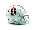 Custom Stanford Cardinals 3D Pocket Pro Riddell Helmet — photo 1