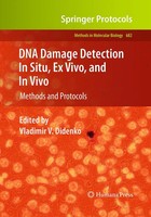 Vladimir V. Didenko | DNA Damage Detection In Situ, Ex Vivo, And In Vivo | Buch