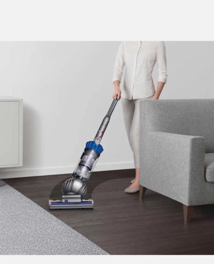 Dyson Ball Animal 2 Origin vertical  Foto 2 de 4