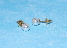 White Akoya Round Pearl Stud Earrings 6.5 mm pearl 14K Solid Yellow Gold