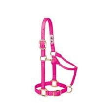 New Weaver Leather Small horse size Adjustable 1" NYLON HALTER in 6 COLORS 