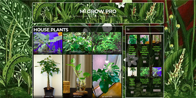 Wordpress Website Design Service  Mobile Friendly Design - Professional Web Site