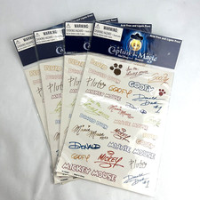 4 Disney Disneyland Resort Capture the Magic Name Stickers 2 Sheets Acid Free