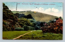 Trail to the "Big C". University of California, Berkeley Postcard