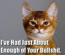 Funny Cat Humor  Refrigerator / Tool Box / File Cabinet Magnet