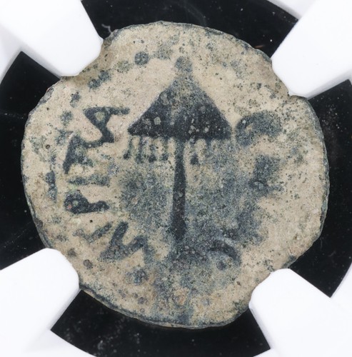 Agrippa I AE Prutah Bronze Governors Of Judaea Coin 37-44 AD • NGC Genuine