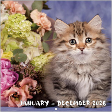 2026 Calendar, 2026 Wall Calendar, Cute Cats Calendar 2026. Jan. 2026 - Dec. 202