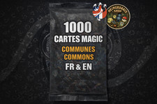 Lot de 1000 cartes magic en français et Anglais