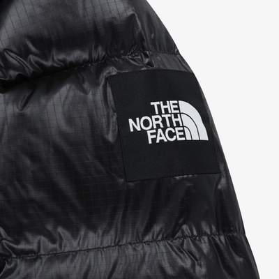 The North Face Korea NOVELTY NJ1DR51 NUPTSE DOWN JACKET (RDS