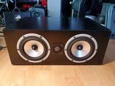 Rare Power Speaker Tandberg TTC1-01 Natural Audio Module ll