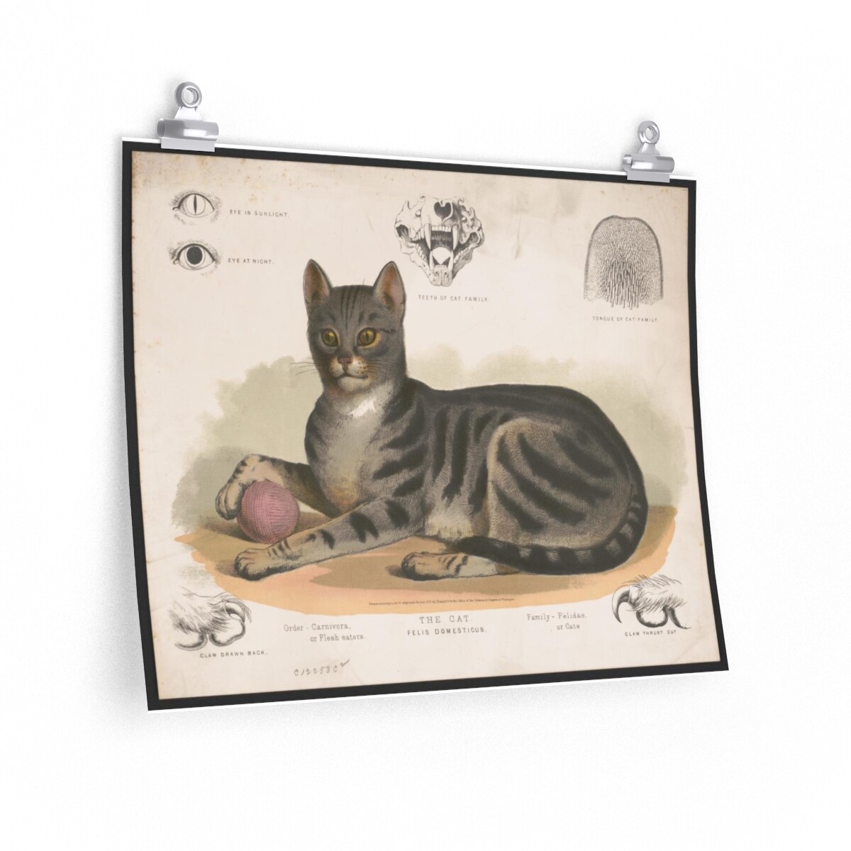 【CAT】　vintage poster Maneki Neko Cat Vintage Poster – 🈹 JAPAN BOX