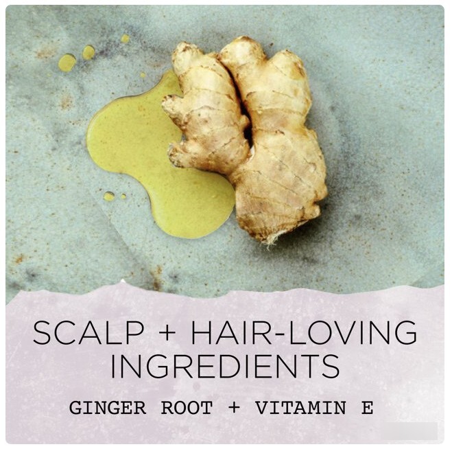 Rooted Rituals Ginger Root Hair and Scalp Mask Soft Shiny Color Treated Stregnth