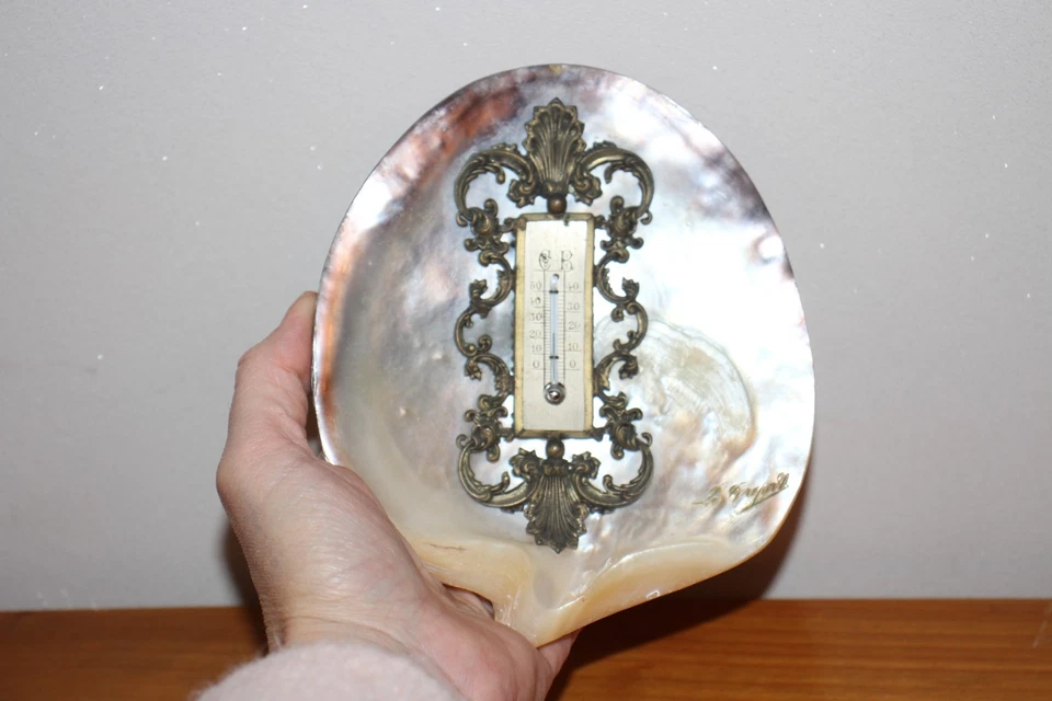 Ancien thermomètre coquillage en nacre XIX ème , Le Tréport - Photo 4/4