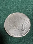 1 oz Silver Buffalo/ Indian Head Round- .999 Pure Silver