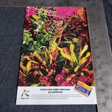 Vintage 1994 Kodak Ektachrome Elite Film Advertisement 1990s 35mm Film Print Ad
