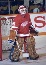  HOCKEY PHOTO PRINT NHL detroit red wing ALLAN BESTER GOALIE