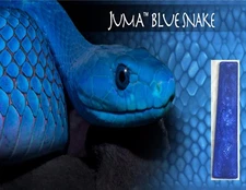 1 Blue Snake Juma .250" ( 1/4" ) Scale 2" x 12" - Knife Handle Material Blank