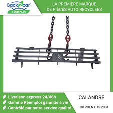 Calandre Citroen C15