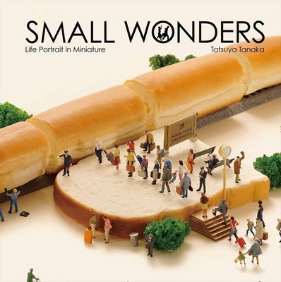 Tatsuya Tanaka Small Wonders Bildband Fotobuch Hardcover Englisch