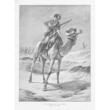 THE CAMEL CORPS The Native Egyptian Army - Antique Print 1894