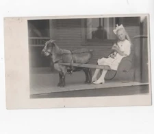 Girl posing with cat in a goat drawn cart  RPPC postcard 1905