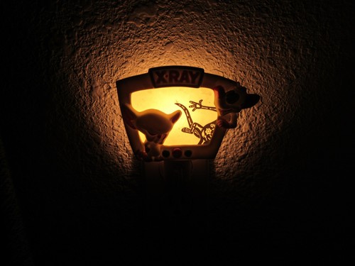 Vintage 1997 Warner Bros. The Animaniacs Pinky and The Brain Nightlight - Picture 9 of 9