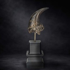 Carcharodontosaurus Replica Claw – Dinosaur Fossil claw.