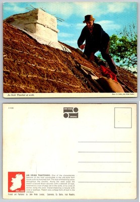 Vtg John Hinde Ireland Postcard Irish Thatcher Thatching Roof Co Dublin