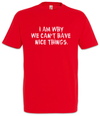 I Am Why We Can't Have Nice Things T-Shirt Kids Kid Boys Girls Family Fun Money