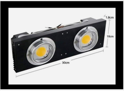 CXB3590 COB LED-Wachstumslicht 200W für Innenzelt, Gewächshäuser 24000Im 3500 K