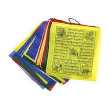 Prayer Flags (set of 10 medium size flags) | FREE SHIPPING