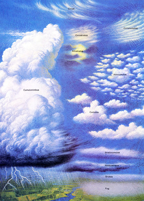 Clouds Poster, Weather, Lightning, Stratus, Cirrus, Cumulonimbus 