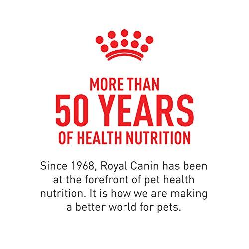 Royal Canin Shih Tzu Adult Dry Dog Food 2.5 Pound Pack for Healthy Coat