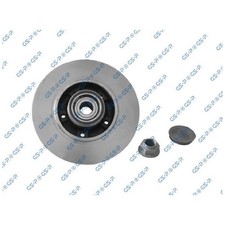 2x Bremsscheibe hinten für Renault Megane 3 DZ0/1 KZ0/1 CC EZ0/1 | 26243809