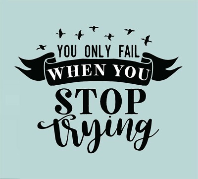 You Only Fail When You Stop Trying Vinyl Decal Home Décor 12'' x 16''