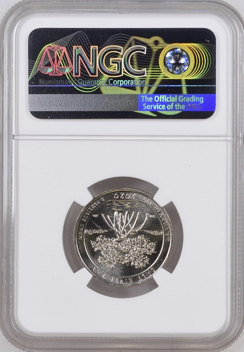 2020 W 'V75' 25¢ NGC MS 65 Salt Bay National Park WWII Privy Mark
