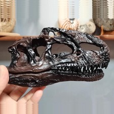 Monolophosaurus Skull Model Dinosaur Statue Display Animal Model Black