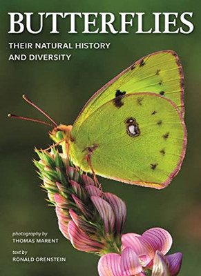 Butterflies: Their Natural History and Diversity - Paperback / softback NEW Oren