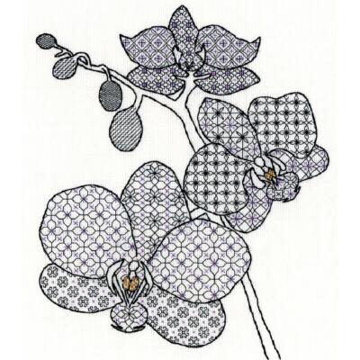 Bothy Threads Blackwork Kreuzstich-Set ''Orchidee'', 27x33cm, XBW2, Zählmuster