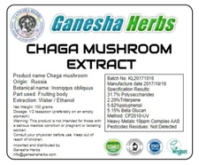 100% PURE WILD SIBERIAN CHAGA HIGH POTENCY DUAL EXTRACT 100 GRAMS (LAB TESTED)