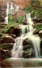 Shenandoah Ntl Park VA Dark Hollow Falls Postcard Unused (31204)